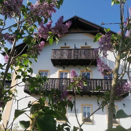 Penzion Henke Srbská Kamenice Exteriér fotografie