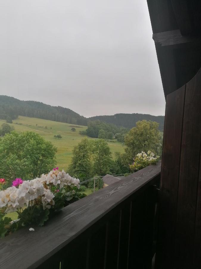 Penzion Henke Srbská Kamenice Exteriér fotografie